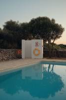 Damien LEMAIRE - DAMIEN LEMAIRE